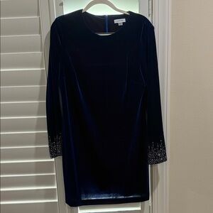 Calvin Klein Deep Blue Velvet Dress with Embellished Sleeves